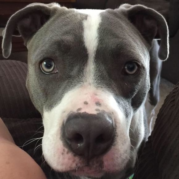 Meet your Posher, Karen - Picture 2 of 2